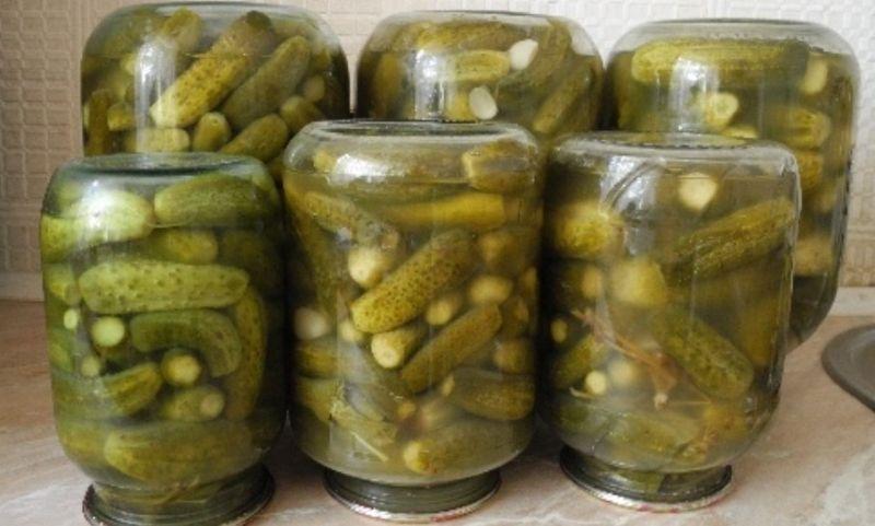 Готуємося до сезону: спосіб маринування огірків, який дивує багатьох