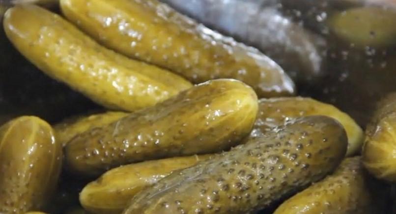 Бродячі огірки: найкращий рецепт соління на зиму