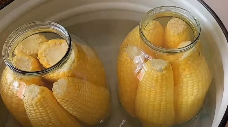 Кукурудзу їмо всю зиму. Консервована кукурудза на зиму "як свіжа"