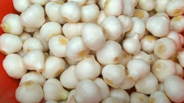 Хрумкий і дуже смачний маринований часник на зиму