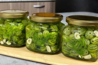 Маринований аґрус