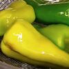 Консервований болгарський перець