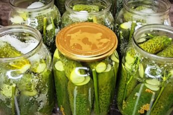 Мариновані огірки на зиму