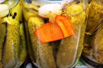 Мариновані огірки на зиму
