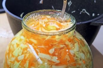 Рецепт квашеної капусти
