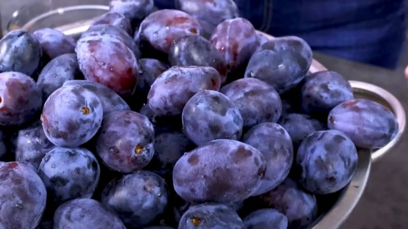 Справжнє диво у банці: домашнє сливове варення, яке зберігається понад 2 роки