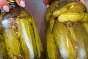 Мариновані огірки